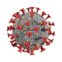 coronavirus-wahrheit.pages.dev favicon